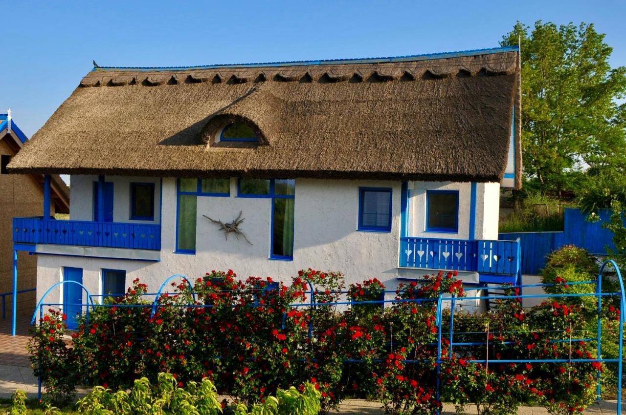 Nena Art Resort Dunavăţu de Jos 외부 사진