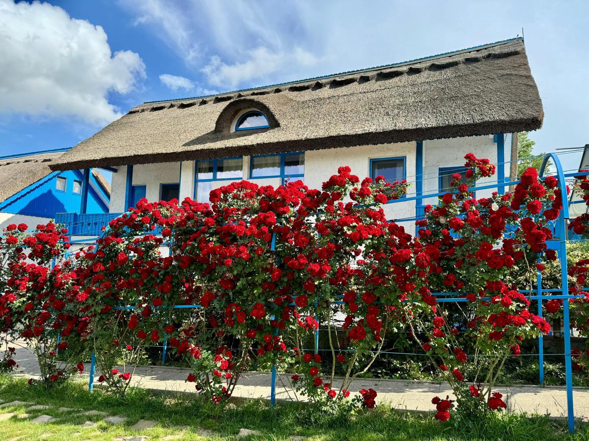 Nena Art Resort Dunavăţu de Jos 외부 사진