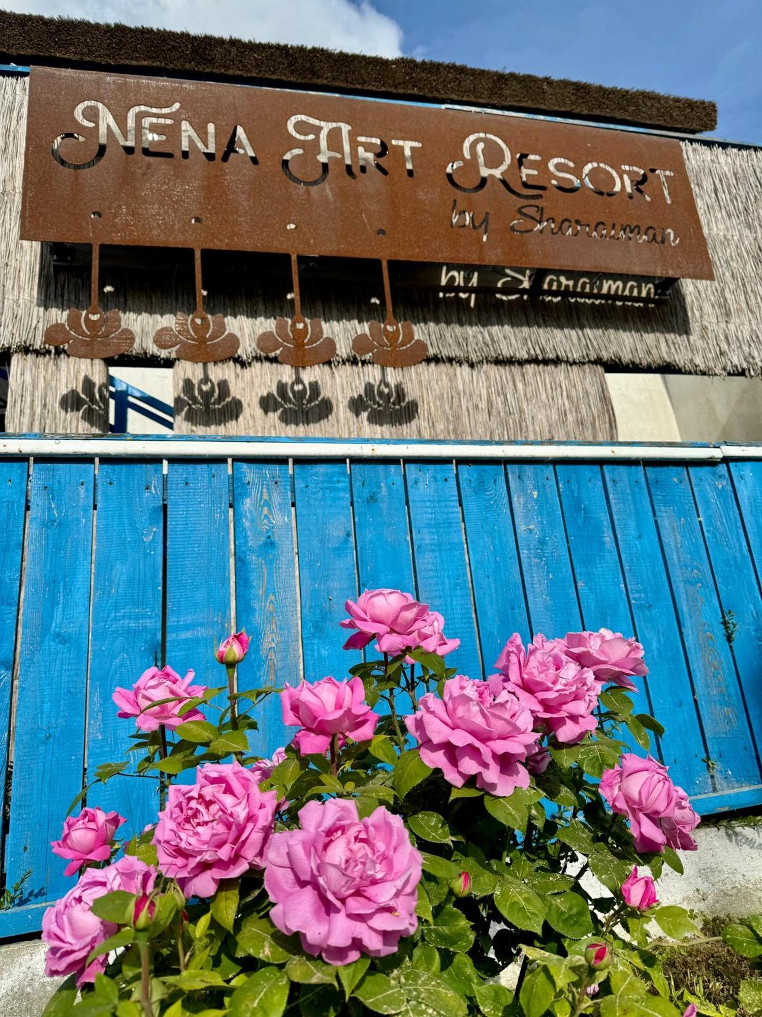Nena Art Resort Dunavăţu de Jos 외부 사진