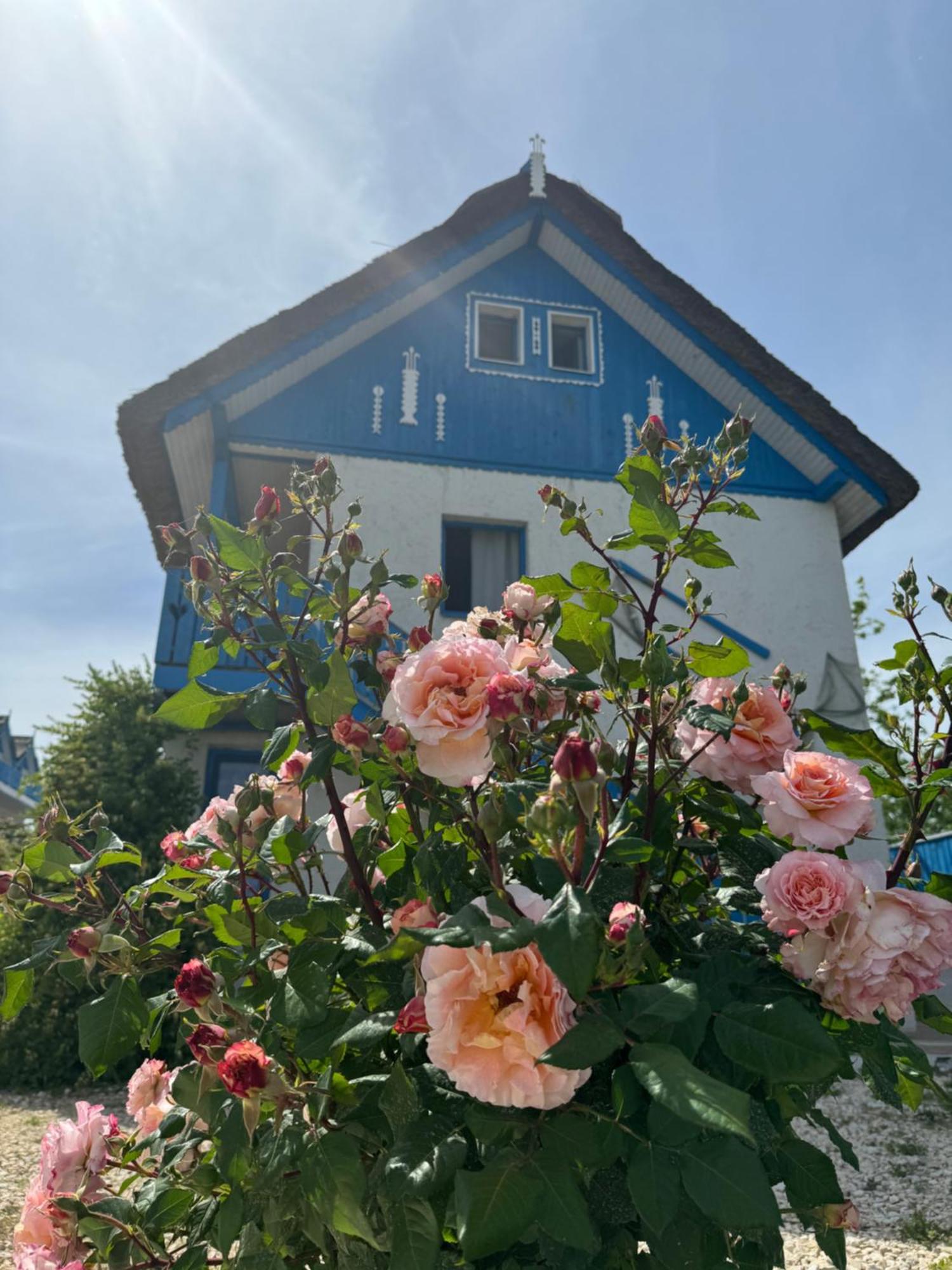 Nena Art Resort Dunavăţu de Jos 외부 사진